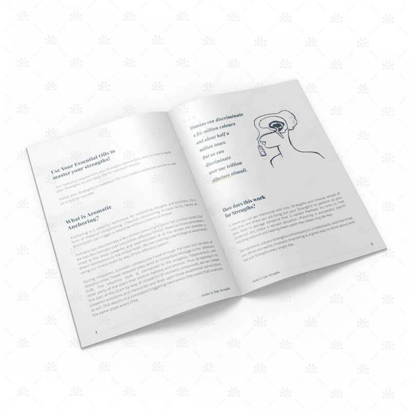 Anchor To Your Strengths Booklet