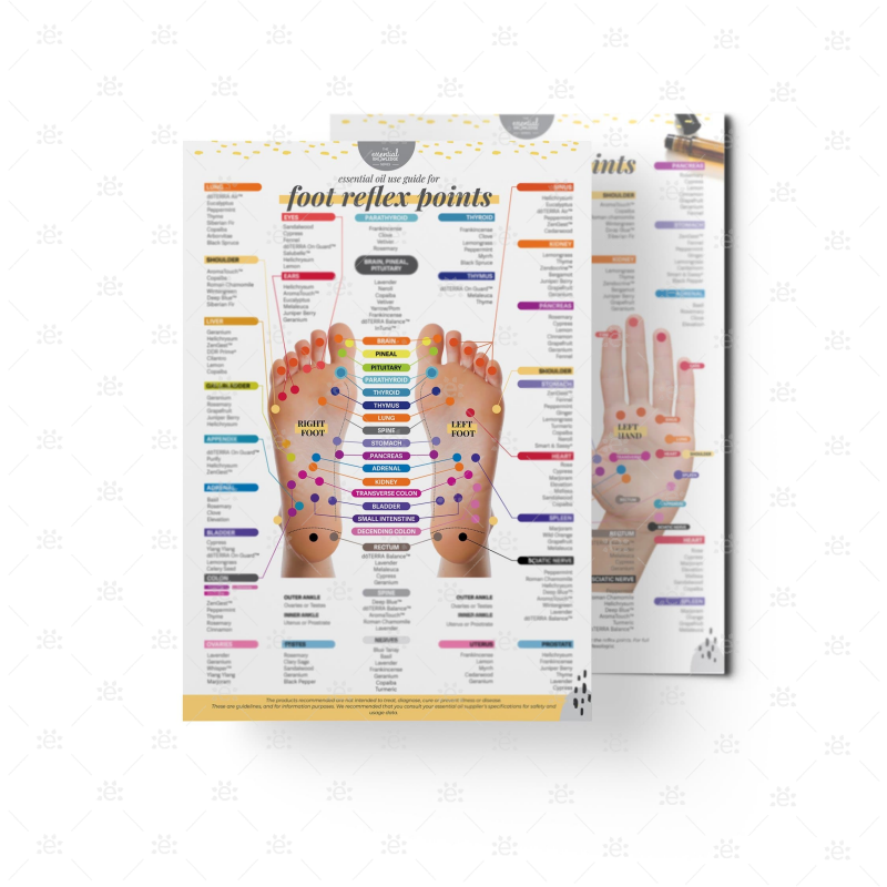 Oil Use Guide For Reflex Points (Foot & Hand)